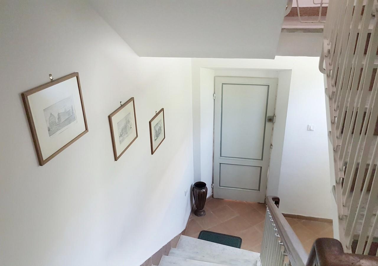 La Coccinella Guest House Pisa Exterior photo